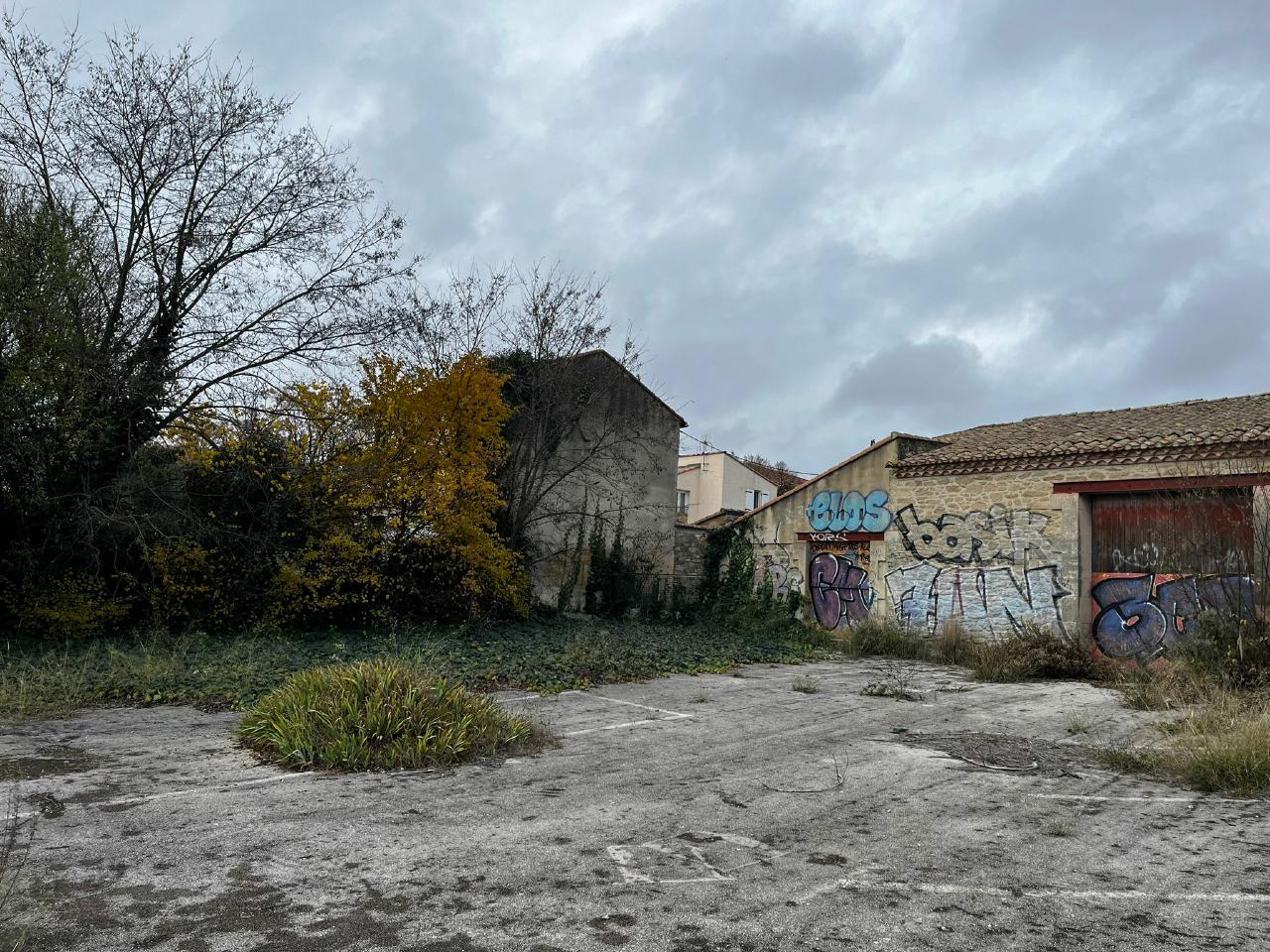 Local d'activité Montpellier 513m² Vente local d'activité Montpellier Hérault OVACT2419849 4